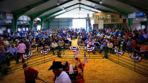 A large crowd gathers inside a barn for an event with an animal pen in the center.