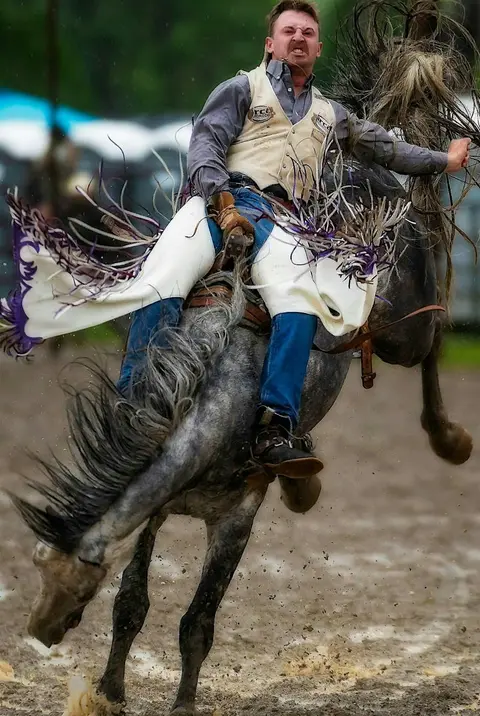 A cowboy rides a bucking horse at a rodeo.