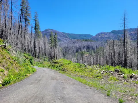 A paved road winds through a landscape of mountains, green vegetation, and burned trees under a clear blue sky.