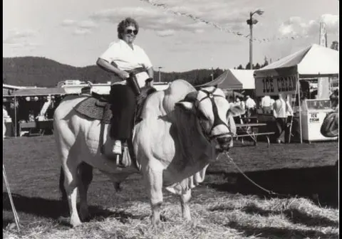 A person rides a large bull at an outdoor event.