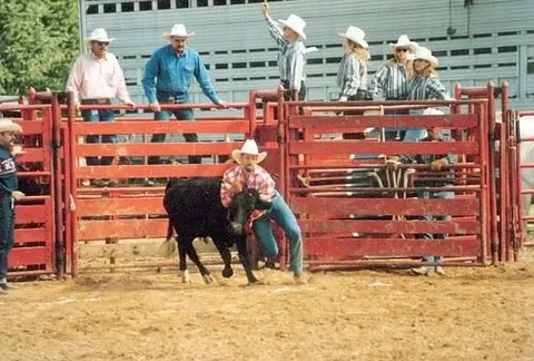 People in cowboy hats gather around a cattle chute in a rodeo arena.