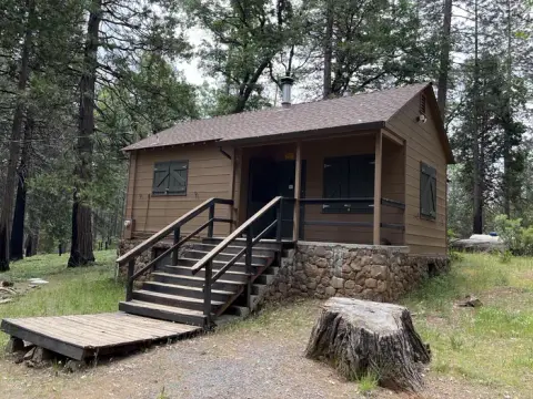 A small brown cabin with a covered porch stands in a forest.