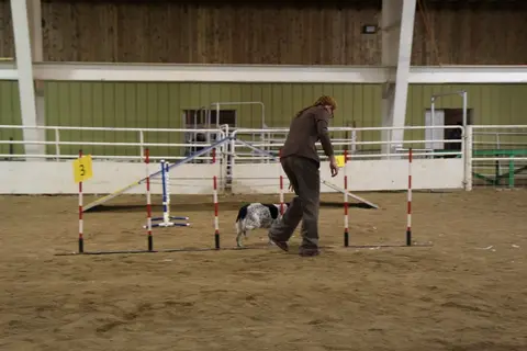 A woman guides a dog through an agility course inside an arena.