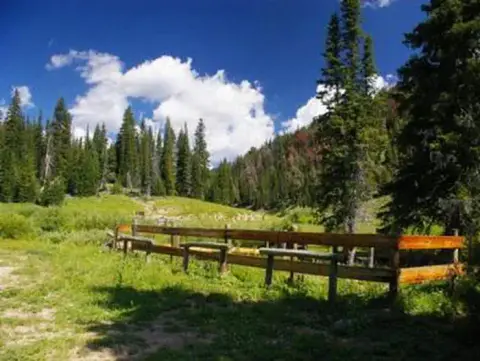 A scenic view of a wooden fence in a grassy meadow surrounded by pine trees and mountains under a blue sky with clouds.
