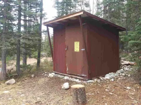 A small brown shed stands among pine trees in a wooded area.