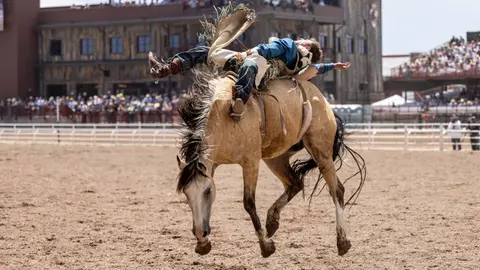 A cowboy is thrown off a bucking horse at a rodeo arena.