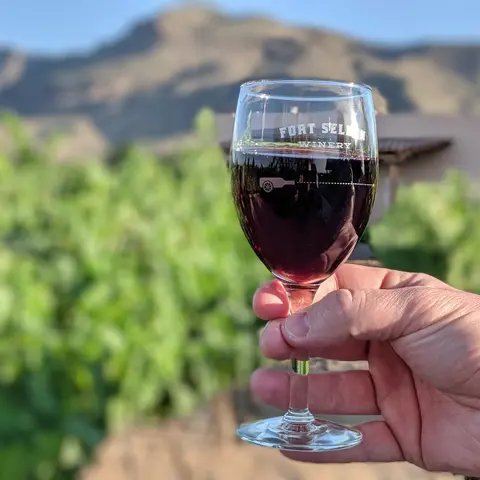 A hand holds a glass of red wine with a mountain and greenery background.