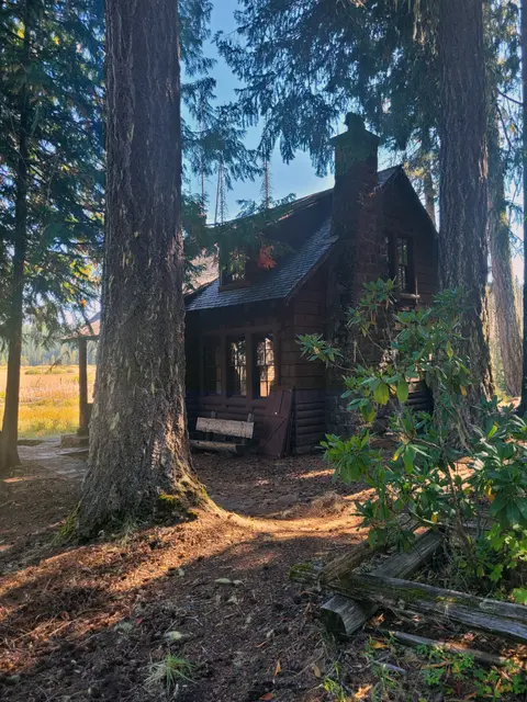 A rustic wooden cabin nestled among tall trees and forest foliage.