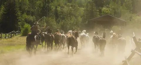 A cowboy herds a group of horses down a dusty path towards a barn.