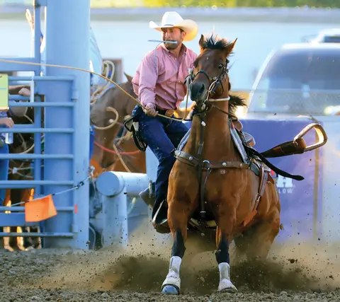 A cowboy rides a horse at full gallop in a rodeo arena.