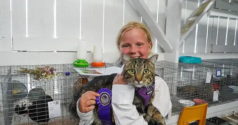 A young person holds a cat and a ribbon inside a building with animal cages.