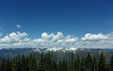 A scenic view of snowy mountains and a forest under a blue sky with white clouds.