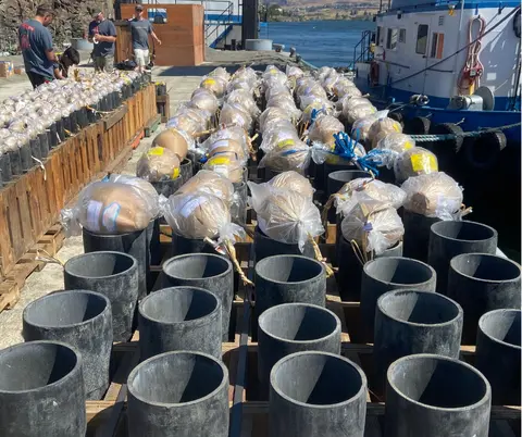 People preparing fireworks shells in mortars by a dock.