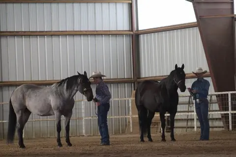 Two people with horses inside a riding arena.