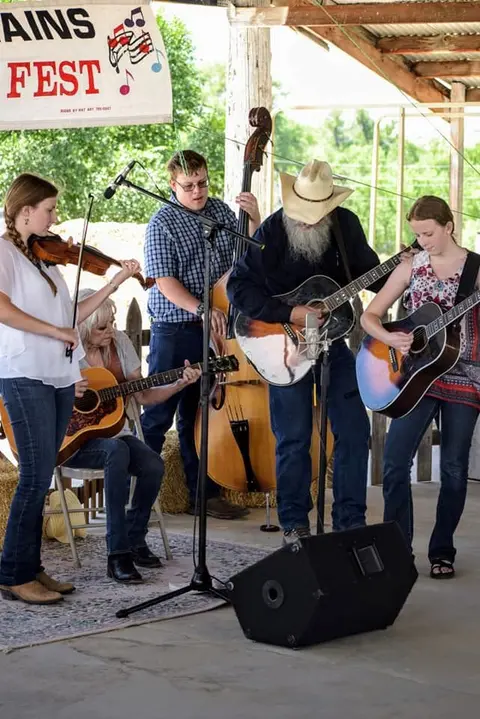 A musical group performs with string instruments under an outdoor pavilion.