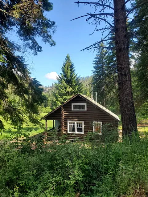 A log cabin sits in a forest surrounded by trees and greenery.