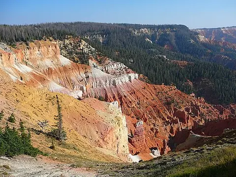 A scenic view of a rocky canyon with colorful strata and evergreen forests.