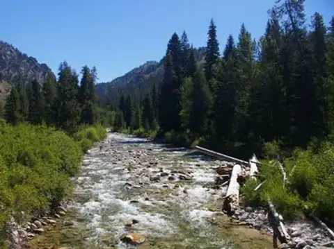 A rushing river flowing through a forested mountain valley.