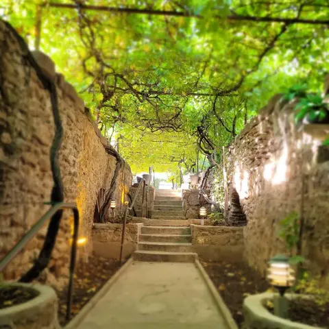 A stone pathway and stairs lead upward between old walls under a leafy green canopy.