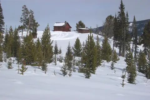 A log cabin in a snowy landscape with pine trees.