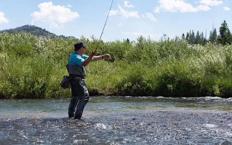 A person fly fishes in a river surrounded by lush green vegetation.