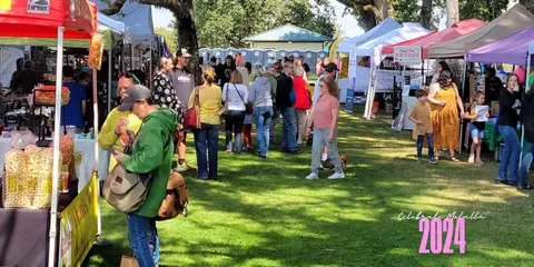 A crowd of people enjoying an outdoor market event with tents on a grassy lawn.