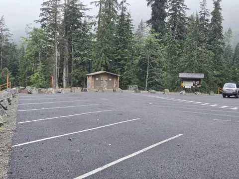 An empty asphalt parking lot with a restroom building and dense pine trees in the background.