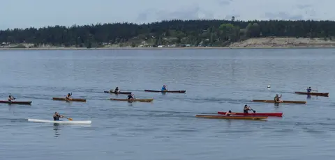 People paddling canoes in a calm body of water with a forested shoreline in the background.