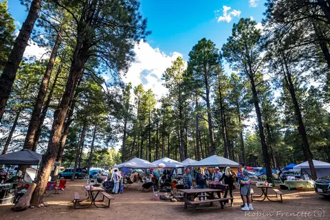 A group of people gathered at a campsite among tall pine trees.