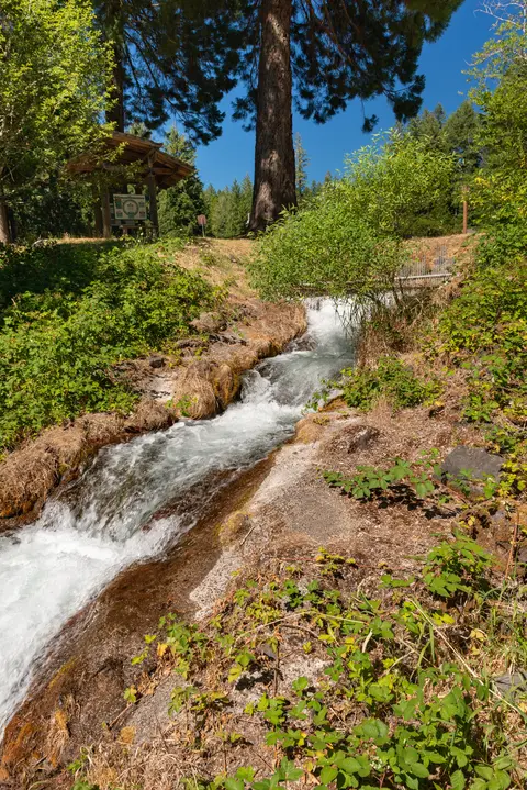 Stream channel, Leaburg Hatchery.