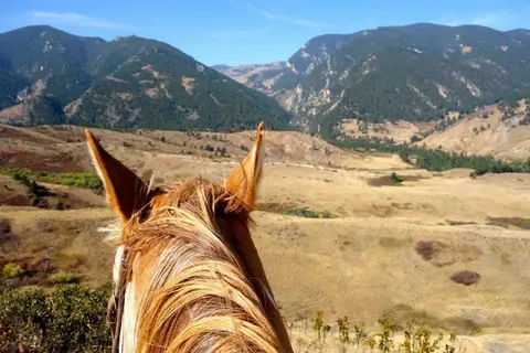 A view of a mountain landscape seen past a horse's ears.
