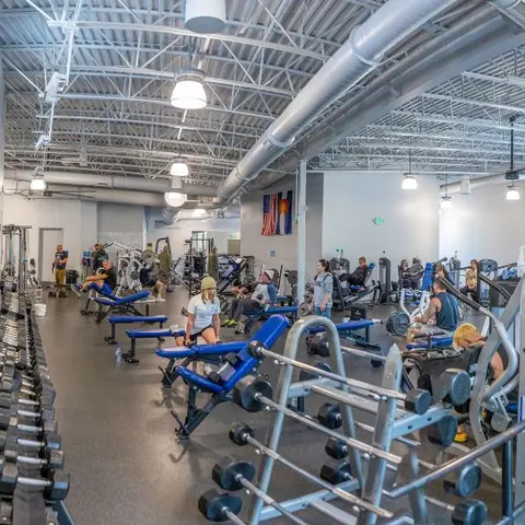 People exercising in a gym with weights and machines.