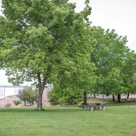 A grassy park with large green trees and a picnic table.