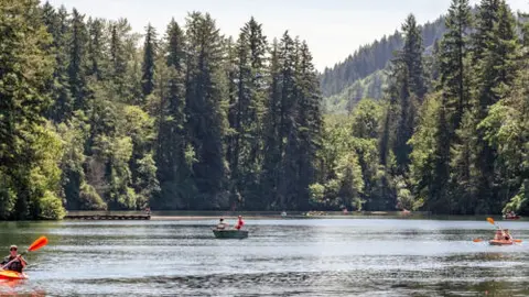 People kayaking and boating on a scenic lake surrounded by a dense forest.