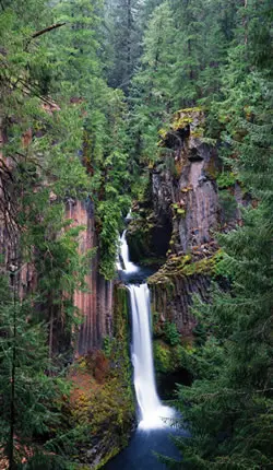 A waterfall flows through a rocky gorge surrounded by dense green forest.