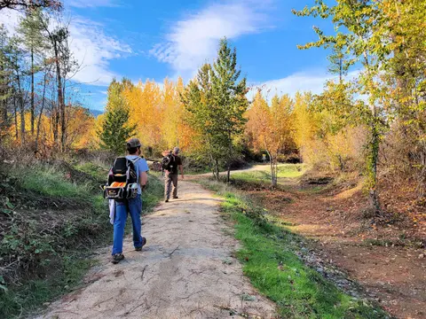 Two people walking along a dirt trail surrounded by autumn trees.