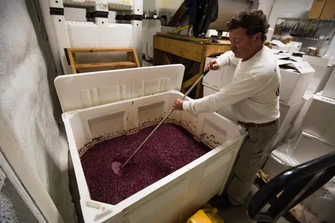 A man mixes crushed grapes in a large plastic vat inside a winery.