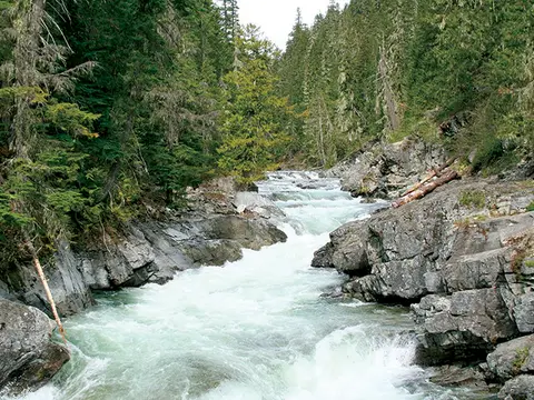 A rushing river flows through a rocky gorge surrounded by a dense forest.