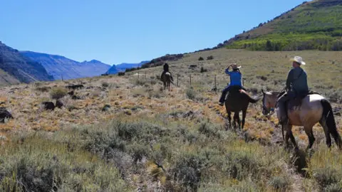 People ride horses across a dry grassy landscape.