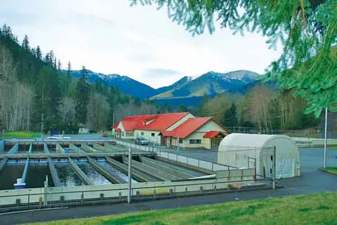 An outdoor view of a fish hatchery with raceways and mountains in the background.