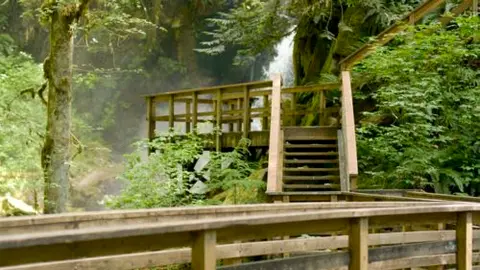 A wooden viewing platform and staircase set within a lush forest with a waterfall.