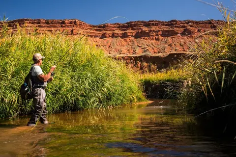 A person fly fishes in a shallow stream surrounded by tall grass and red rock cliffs.