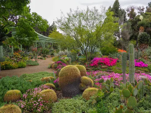 A view of a botanical garden filled with various cacti, succulent plants, and bright flowers.