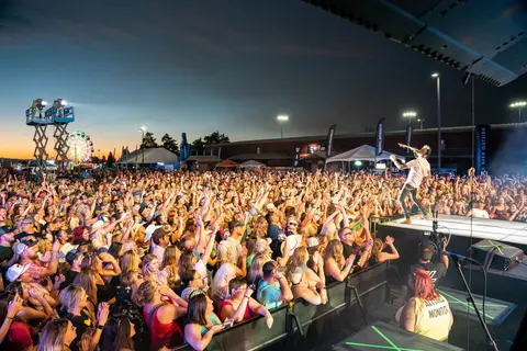 A large crowd of people watches a performer on stage at an outdoor evening event.