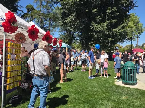 A crowd of people browsing booths at an outdoor market on a sunny day.