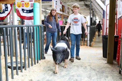 A young boy and woman walk a pig in an indoor agricultural exhibit.