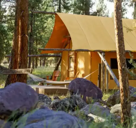 A yellow canvas tent stands among pine trees in a forest.