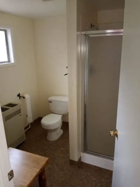 An interior view of a bathroom showing a toilet and a shower stall.