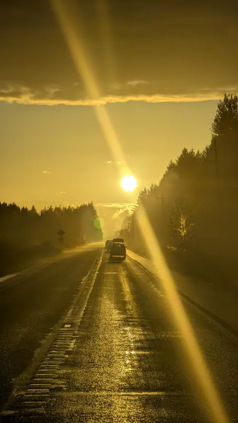 Cars driving on a wet road at sunset with sun rays shining down.