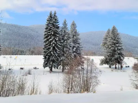 Snow-covered landscape with evergreen trees and mountains in the background.